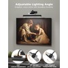 Skairipa Wireless Picture Light with Remote, Battery Operated Wall Sconce