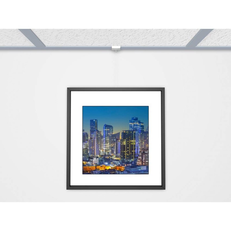 Art & More Picture Hanger for Suspended Ceilings / System