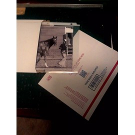 SECRETARIAT 8 X 10 Photo Belmont Stakes ~  Black/White Horse Racing