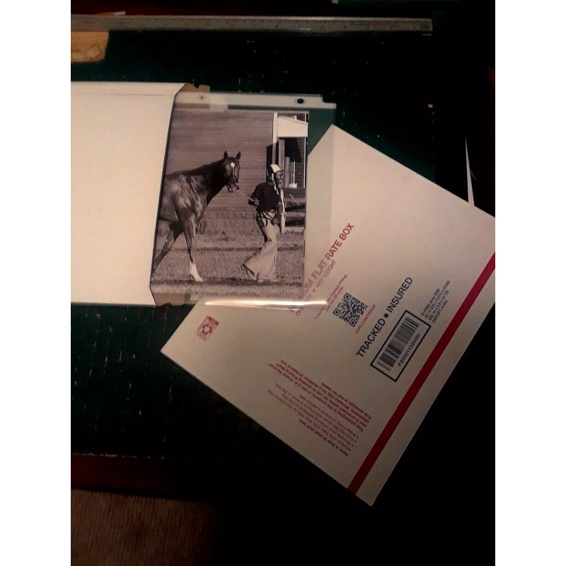 SECRETARIAT 8 X 10 Photo Belmont Stakes ~ Black/White Horse