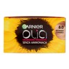 Garnier Olia Hair Dye, Permanent Colouring without Ammonia, Covers 100%