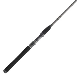 PENN Carnage III Inshore Spinning Fishing Rod
