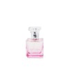 Charlotte Russe Assorted Refuge Perfume - Size ASSTD