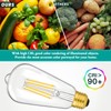4-Pack Vintage 8W ST64 LED Edison Light Bulbs 100W Equivalent,