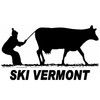 CafePress The Ski Vermont Shop Rectangle Sticker Rectangle Bumper Sticker