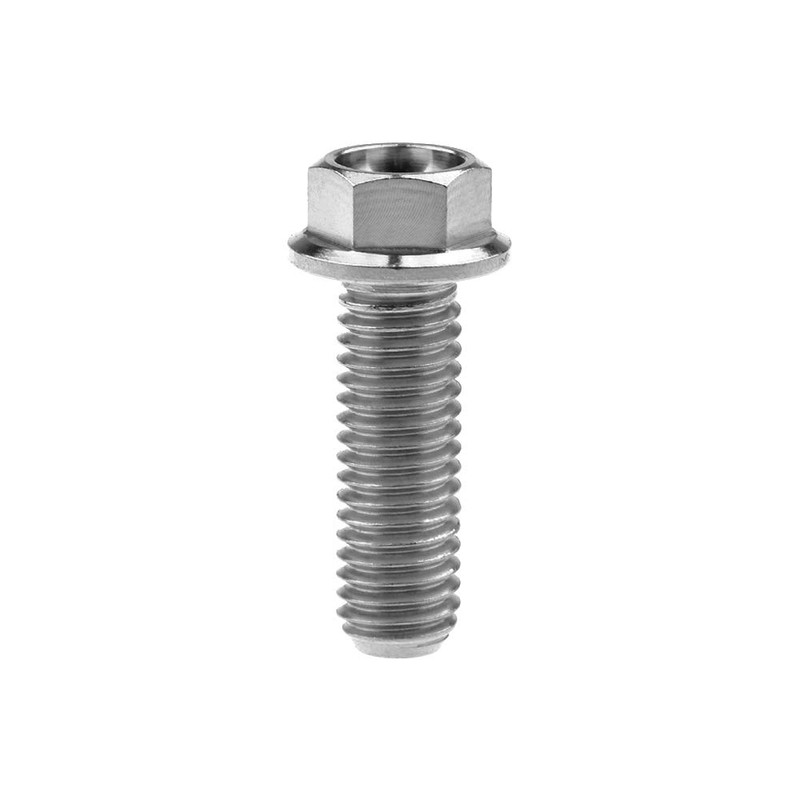Wanyifa Titanium Hex Small Flange Head Bolt M8 15 20