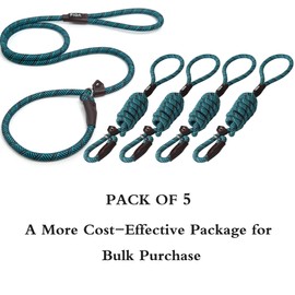 Fida Durable Slip Lead Dog Leash Bulk Pack of 5, Heavy Duty 1/2" x 6 FT Comfortable Strong Rope Slip Leash for Large, Medium & Small Dogs No Pulling Pet Training Leash with Highly Reflective (Blue)