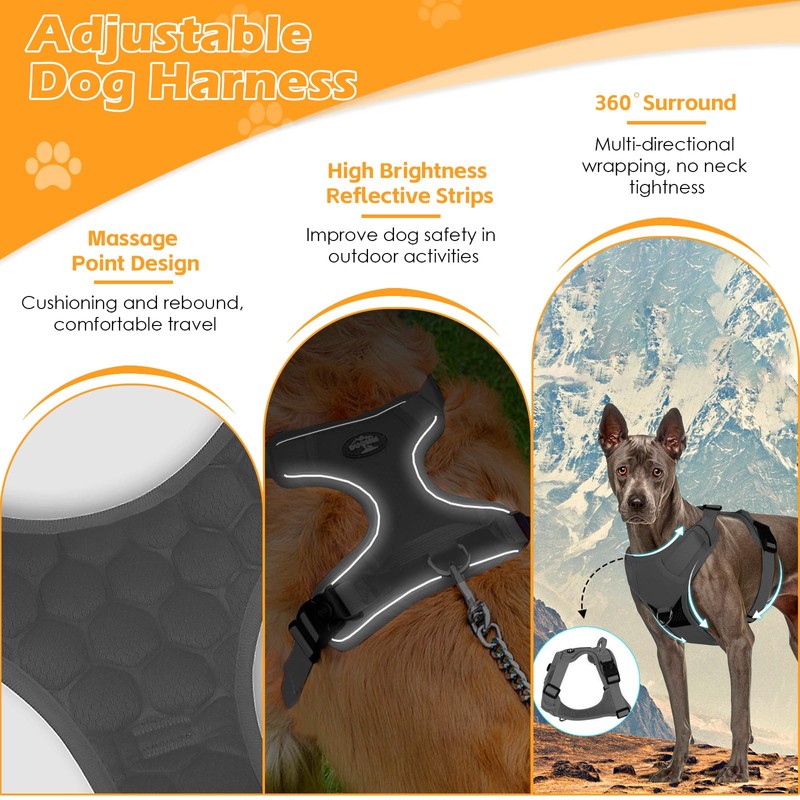 Light up Dog Harness, Adjustable Small Dog Harness, No Pull