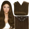 Full Shine Hair Extensions for Women Clip in Extensions Color