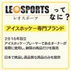 Leo Sports Ice Hockey Visor Straight Type V01 Anti-scratch Anti-Fog Coat