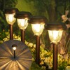 DERAYSION Solar Lights Outdoor 6 Pack, Stainless Steel Glass Solar