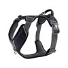 DOG Copenhagen Comfort Walk Pro Harness, Black, Size XS