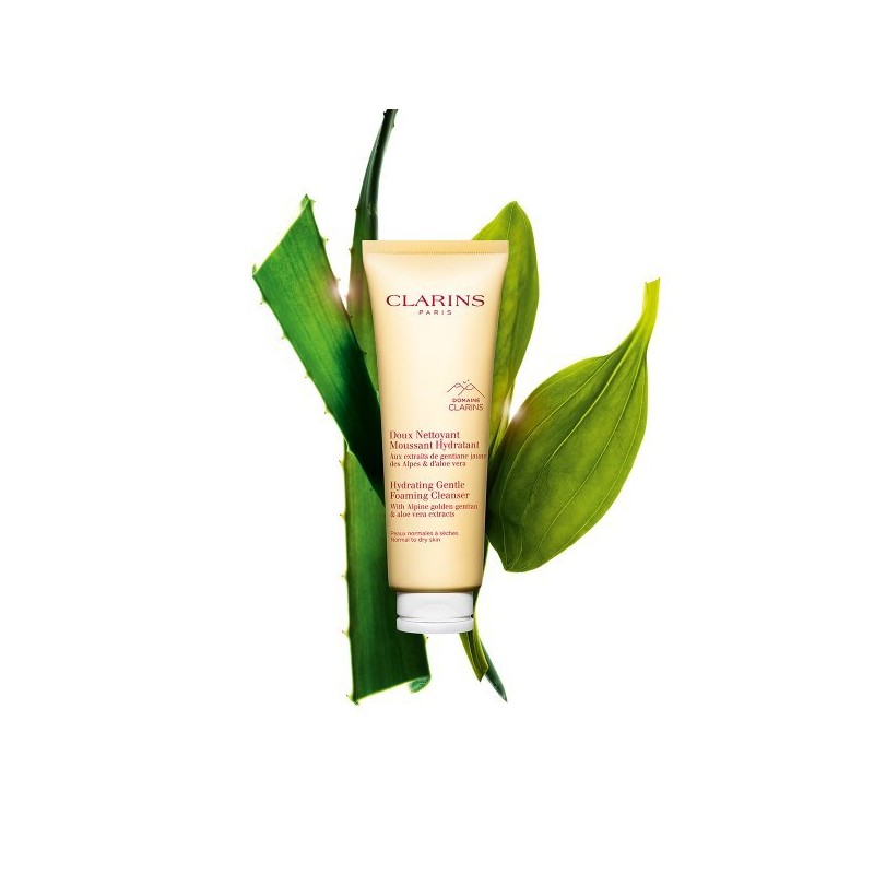 (Clarins) Gentle Foaming Cleanser 125ml Hydrating Cleanser / (클라랑스) 젠틀
