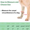 GenetGo Dog Canine Front Leg Brace Paw Compression Sleeve Joint