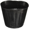 Kinboshi Golden Star Seedling Supplies Poly Pot 4.1 inches (105