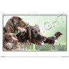 Pets-easy Rechteckige Aufkleber Hund 25 cm Kleiner Münsterländer