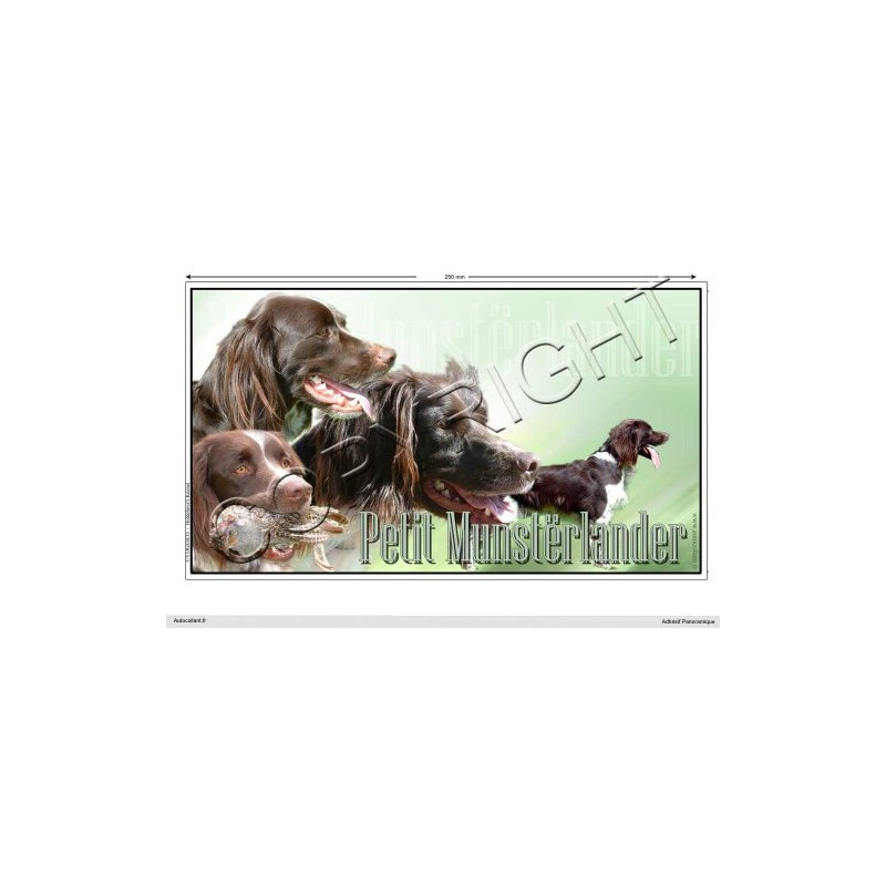 Pets-easy Rechteckige Aufkleber Hund 25 cm Kleiner Münsterländer