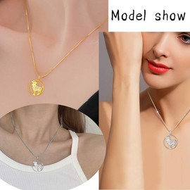 Aurora Tears Aries Necklace 925 Sterling Sliver 12 Zodiac Pendant Constellation Round Coin Necklaces CZ Horoscope Jewellery Gift for Women and Girls DP0111B