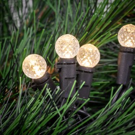 Northlight LED G12 Berry Christmas Lights - 16' Black Wire - Warm White - 50 ct