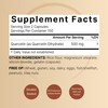 NatureBell Quercetin 500mg Per Serving, 300 Capsules | Ultra Strength