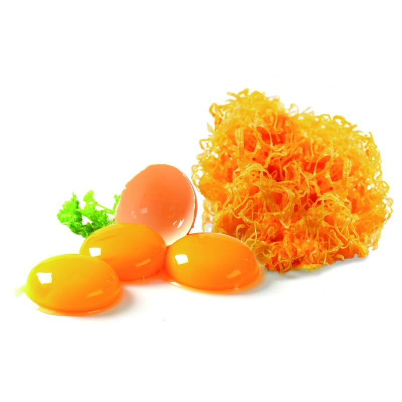 IBILI Egg Thread Funnel, Green, 12 x 10 x 12