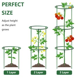 36Packs Plant Support Stake Half Round Plant Support for Indoor Plants, Stackable 3 Tier Garden Flower Support, Plant Rings for Tomato,Monstera, Peony, Hydrangea, Climbing Plants