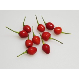 Wiri Wiri Chile Seeds 10+ Seeds