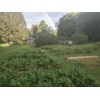 Catskills Comfrey Devil's Claw, 2oz: for joint discomfort: devil's claw
