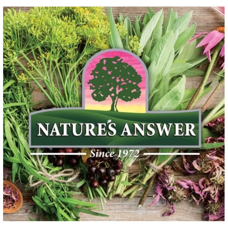 Natural's Answer Kids Sambucus, Gluten-Free, Alcohol-Free, 4000mg, 120 ml