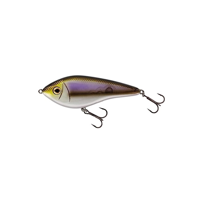 Westin Swim Glidebait Jerkbait, Colour: Real Roach, Length / Weight