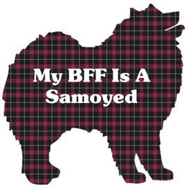 CafePress BFF Samoyed Memory Keepsake Jewelry Box, 5"x5"x3.75"
