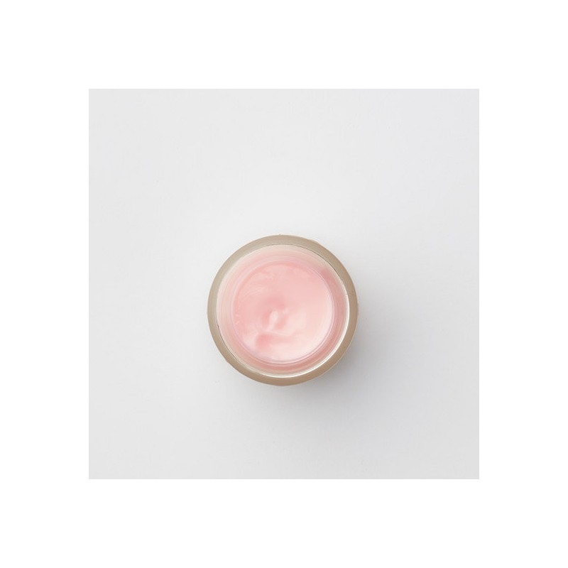 Carol Priest Damask Rose Hand Body Cream 50g / 다마스크