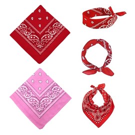 SAIIURV Pack of 2 Bandana Neckerchief, Biker Neckerchief, Men's Bandana Headscarf, Paisley Pattern Headwear, Unisex Scarf, Hair Scarf, Neck Wrist Wrapping Band, Head Binding (Red, Pink), red, pink