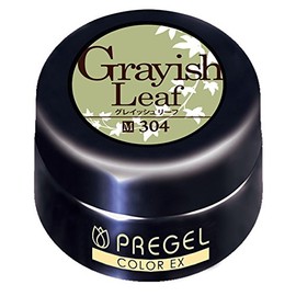 Prigel PG-CE304 Gel Nail Color EX Graish Leaf 0.1 oz (4 g)