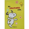 Peanuts SNOOPY HAPPY BIRTHDAY Religious Christian Greeting Card No Ordinary