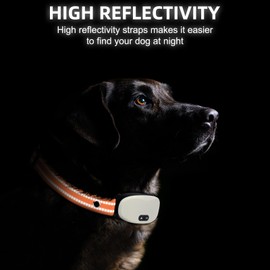 Collar Replacement Strap, Reflective Replacement Nylon Collar Strap Dog GPS Training Bark Receiver Collars, Durable Adjustable E Collar Straps for Small Medium Large Dogs, Orange