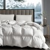 Hotel Grand White Goose Down Fiber Comforter Twin, Extra Warmth