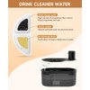 subteenmate Wireless Cat Water Fountain Filters Set, 10 Filters &