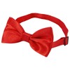 Time to Sparkle Bow Tie Mens Bowties Pre-tied Shape Clip