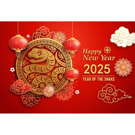 dnldliq 6x4ft Chinese New Year Backdrop 2025 Lucky Clouds Paper Cut Flowers Lanterns Spring Festival Photography Background Year of The Snake Decorations Banner Chinese New Year Eve Supplies