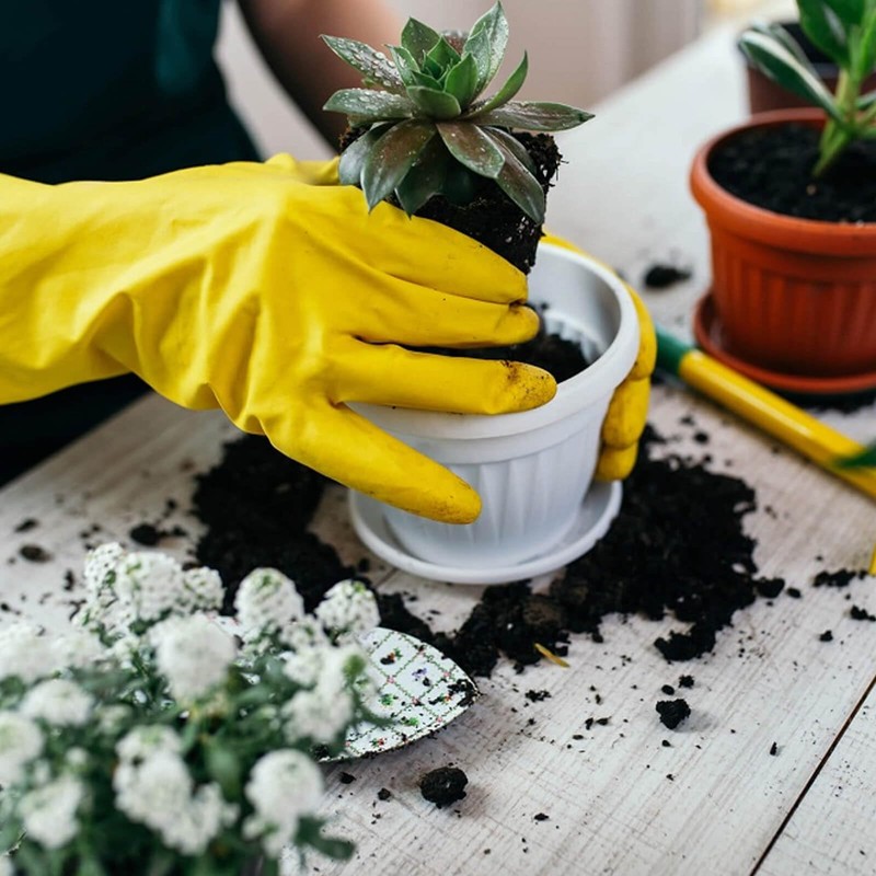 Blooven Kitchen Dishwashing Gloves, Small