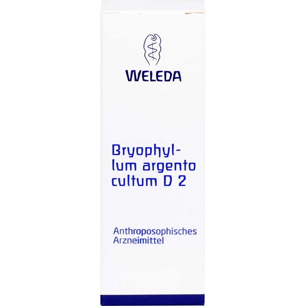 Bryophyllum Argento Cultum D 2 Dilution 50 ml