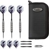 Viper by GLD Products Raven 25 g Steel Tip Darts