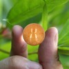 7pcs Chakra Crystal Balls Topaz Redstone Green Aventurine Lapis Lazuli