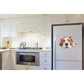 Winston & Bear 3D Cat Stickers - 2 Pack - Hopeful Beagle Decals for Wall - Stickers for Bedroom - Fridge - Toilet - Room - Retail Packaged