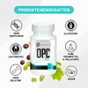 OPC Traubenkernextrakt – 500 mg pro Kapsel – Hochdosiert & Vegan