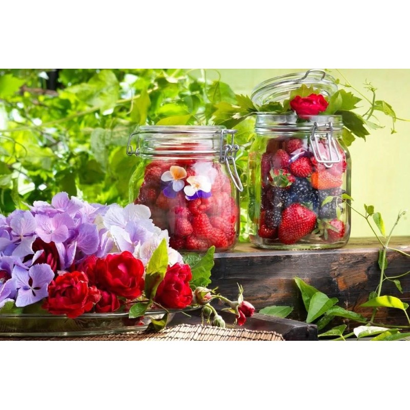 Bormioli Rocco Fido Glass Square Jar, 3 Liter