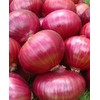 Onion RED Creole Great Heirloom Vegetable 300 Seeds
