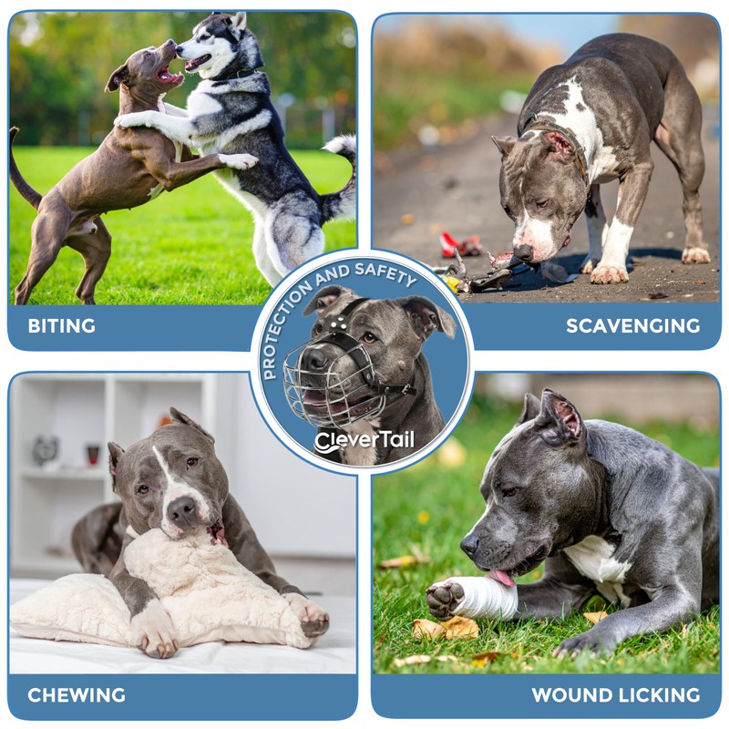 CleverTail Metal Pitbull Muzzle for Large Sized Dog – Basket