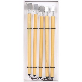 CYSFETENA Natural Bamboo Material Calligraphy Pens, Box of 5 Packaging Dip Parallel Pen Set, Diving Pen Calligraphy Fountain Pen for Calligraphy Painting Sketch